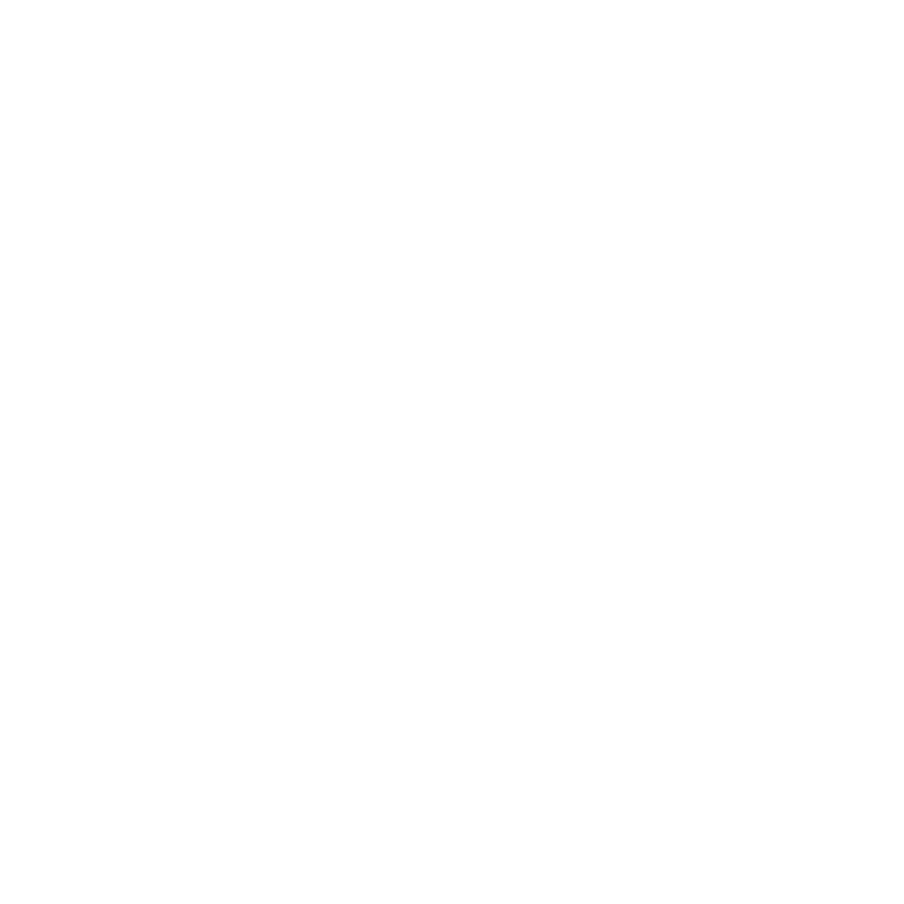 NoirLang logo